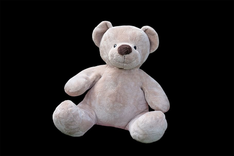 ted, toy, teddy, soft, bear, stuff, stuffed, stuffed toy, teddy bear HD wallpaper