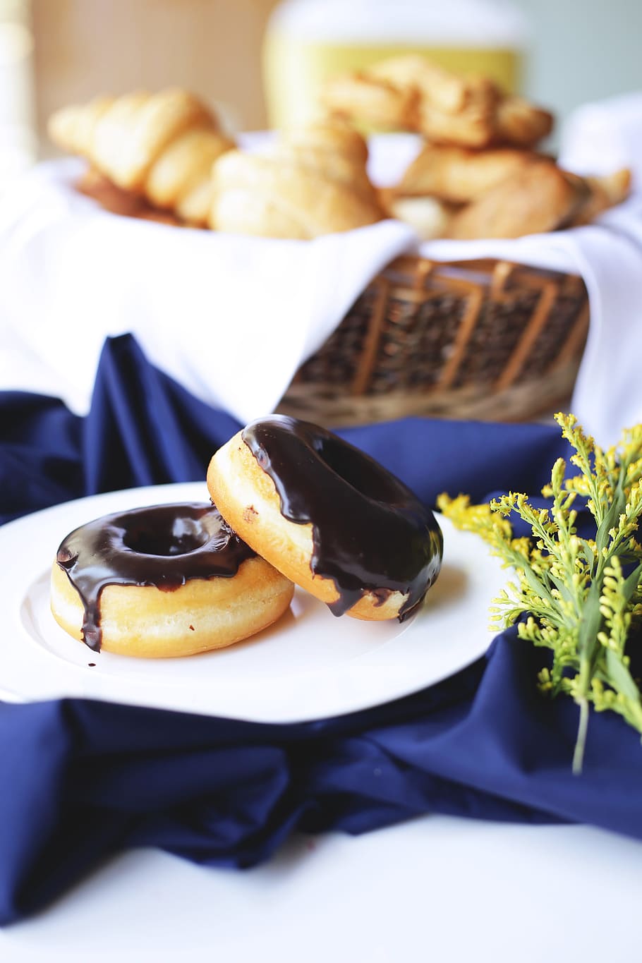 Selective Focus Photography Of Doughnuts On Plate, chocolate HD wallpaper