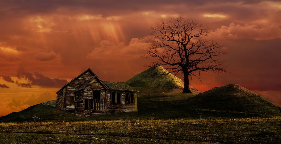 sunset, dawn, sky, dusk, evening, wallpaper, landscape, twilight HD wallpaper