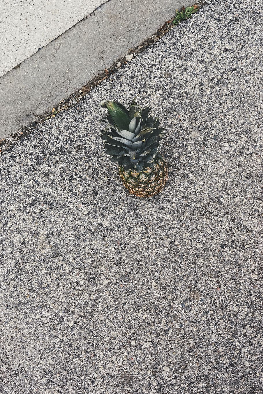 concrete, fruit, ground, asphalt, pineapple, day, high angle view HD wallpaper