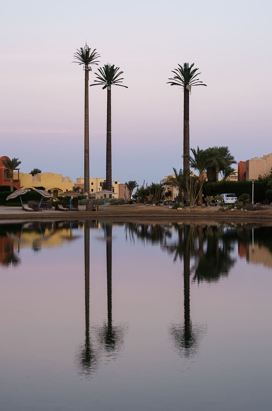 palmtrees, palms, lake, reflection, beach, egypt, elgouna, water HD wallpaper