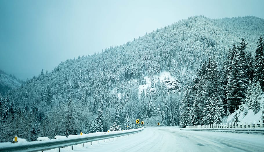 nature, snow, winter, trees, woods, forest, road, cold temperature HD wallpaper