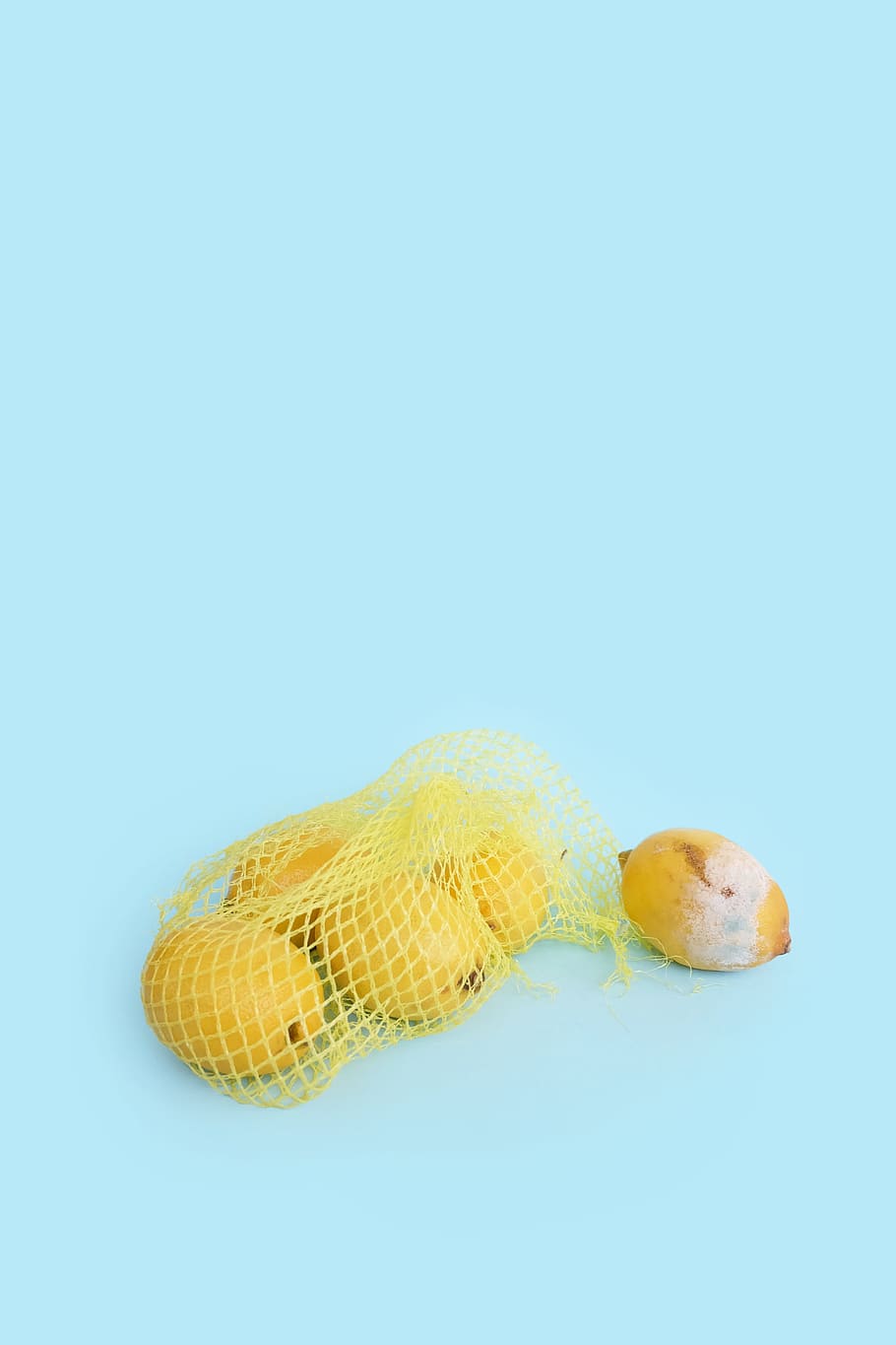five yellow fruits, lemon, blue, net, bag, still life photography HD wallpaper