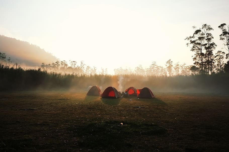 four red dome tent surrounded by trees, camping, leisure activities