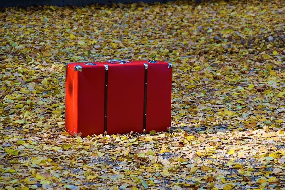rectangular red wooden box on green field, germany, ahornsteig HD wallpaper
