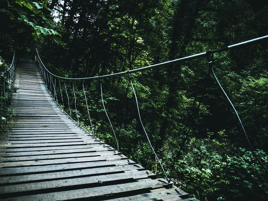 Brown Hanging Bridge, daylight, environment, footbridge, footpath HD wallpaper