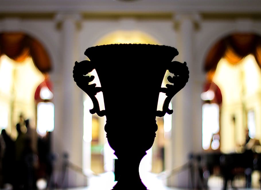 Silhouette of a Cup, blur, indoors, vase, focus on foreground HD wallpaper