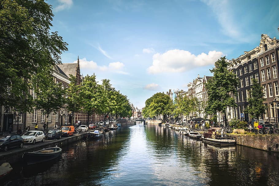 bridge, water, tree, canal, boat, architecture, built structure HD wallpaper