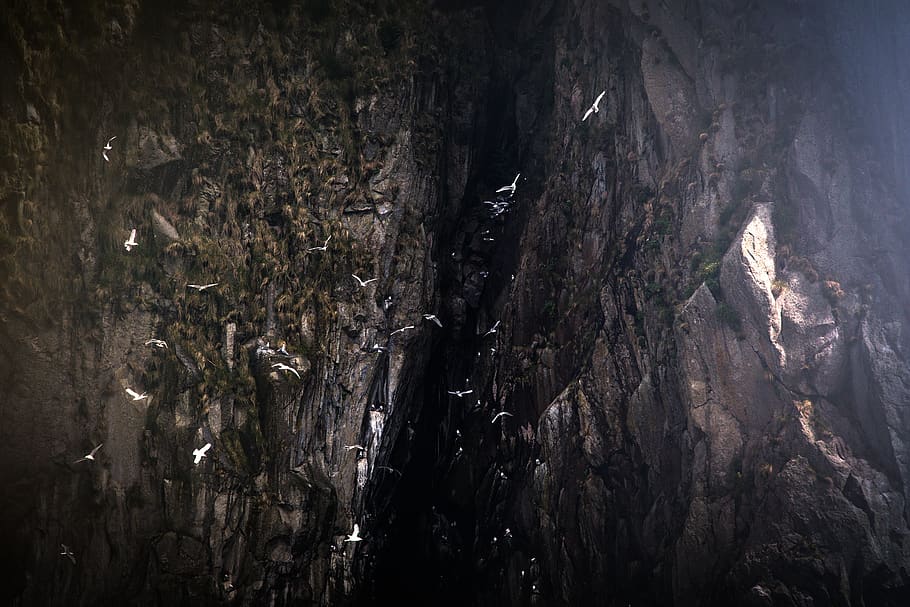 rock cave, nature, outdoors, cliff, canyon, hiking, wildlife HD wallpaper