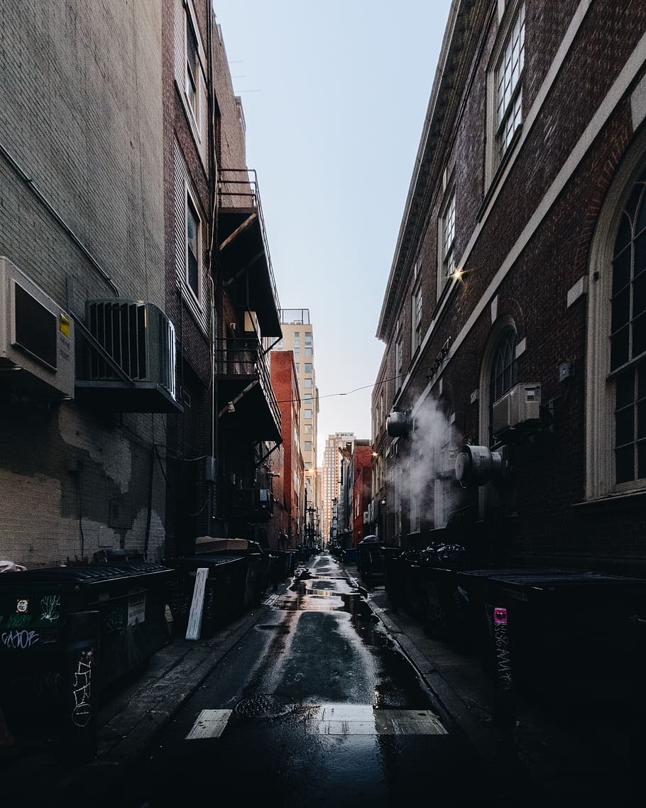 vacant road during daytime, city, street, building, town, urban HD wallpaper