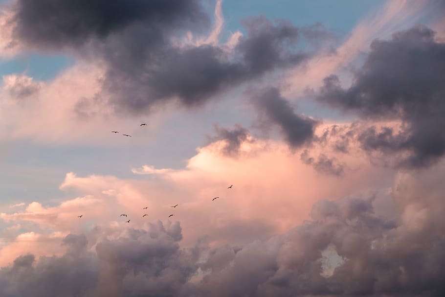 sky, clouds, sunset, seagulls, summer, colors, bink, peach, HD wallpaper