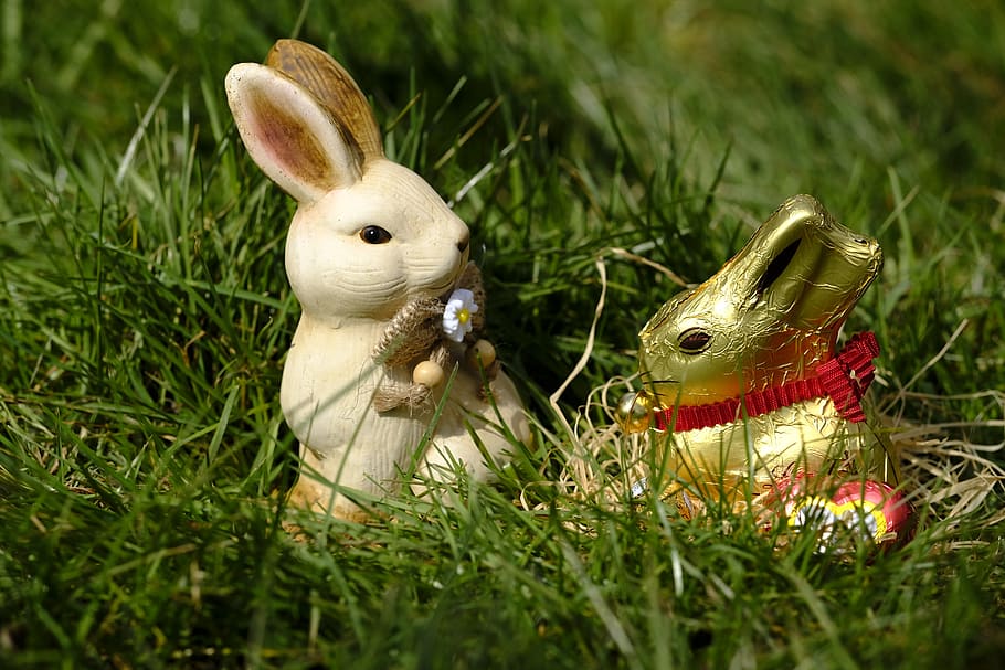 hare, easter bunny, figure, chocolate, love, affection, grass HD wallpaper