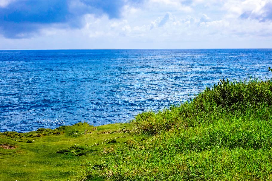 Green Grassfield, beach, clouds, coast, daylight, horizon, idyllic, HD wallpaper