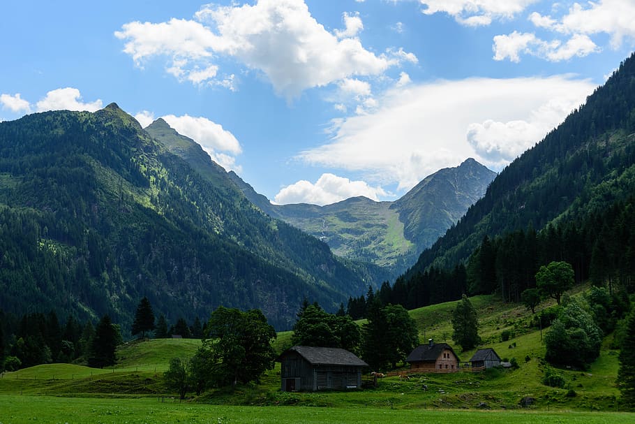 Gray House on Green Field, alpine, alps, clouds, daylight, forest HD wallpaper