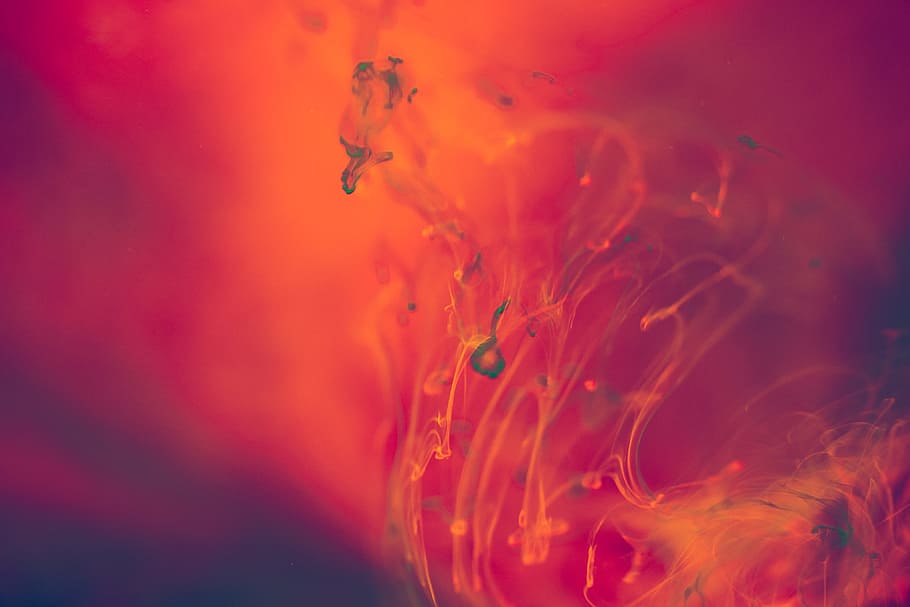 Abstract Red and Orange Liquid Background, explosion, flow, ink, HD wallpaper