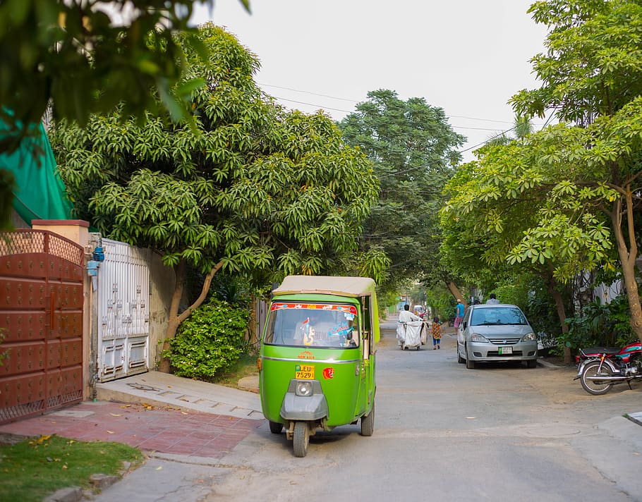 street life, transportation, mode of transportation, plant HD wallpaper