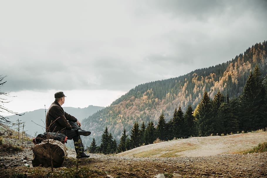 man sitting on rock facing forest, human, person, plant, tree HD wallpaper