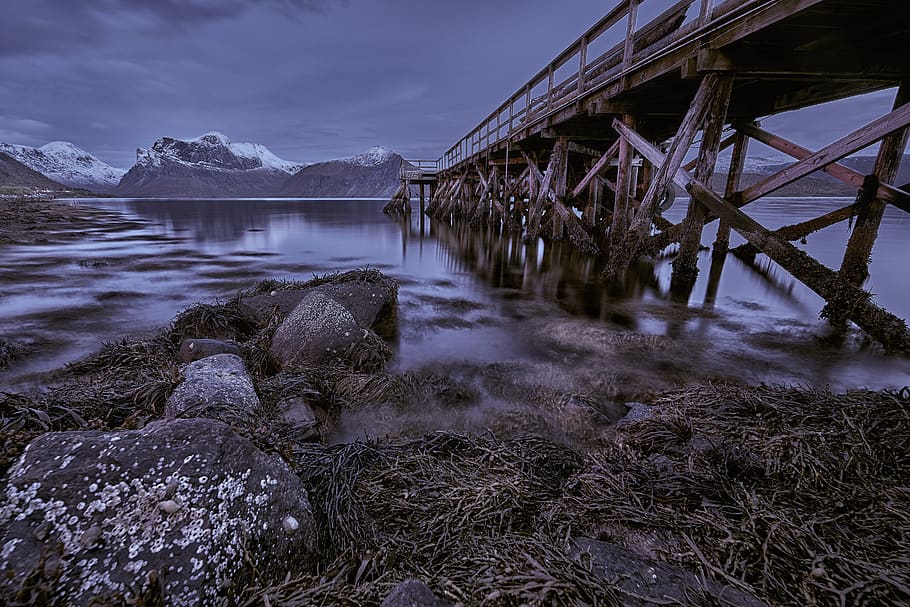 brown wooden bridge, water, waterfront, port, pier, dock, nature HD wallpaper