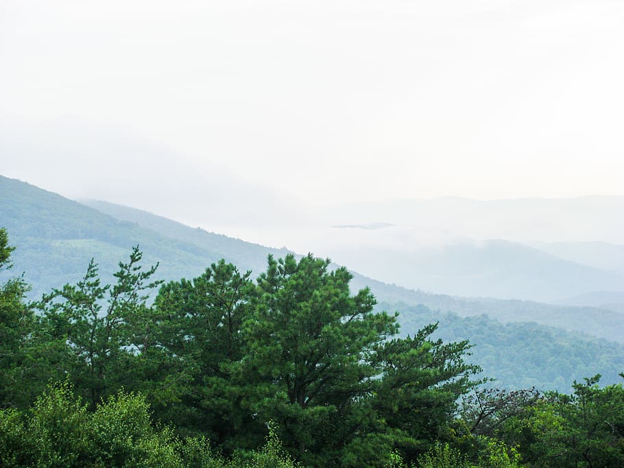 mountains, hills, trees, sky, nature, landscape, plant, beauty in nature HD wallpaper
