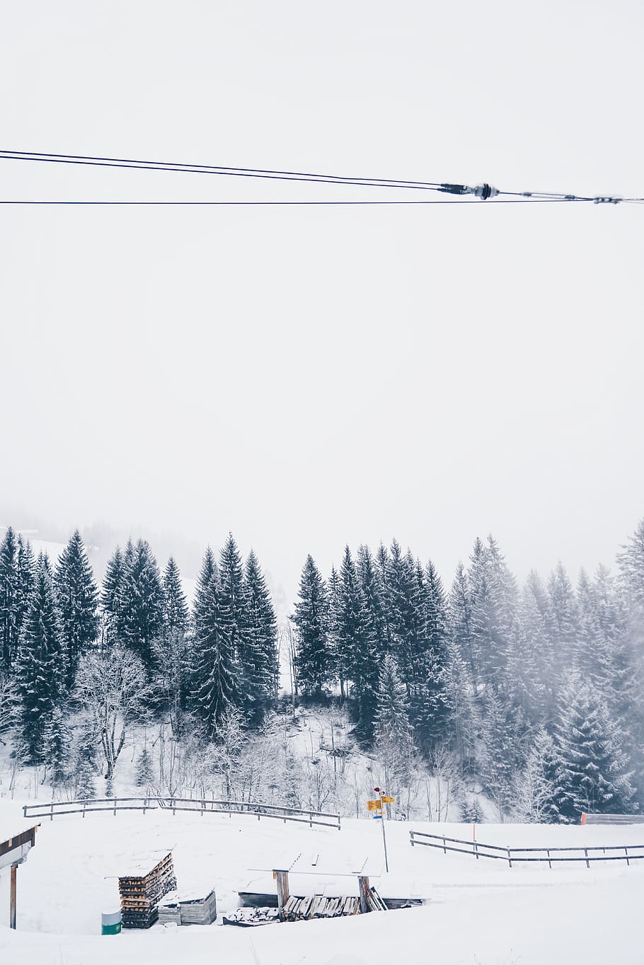 snow, cold temperature, winter, tree, plant, nature, sky, day HD wallpaper