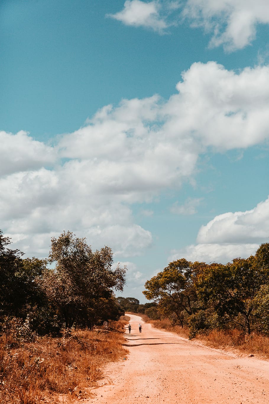 empty ]brown dirt road, cloud - sky, tree, plant, tranquility HD wallpaper
