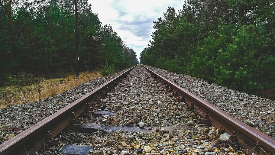 forest, trees, railway, abandoned, rocks, rail transportation HD wallpaper