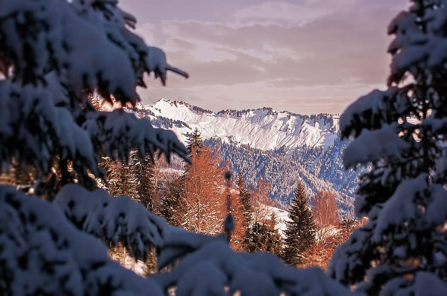 winter, nature, landscape, mountain, frozen, ice, snow, cold temperature HD wallpaper