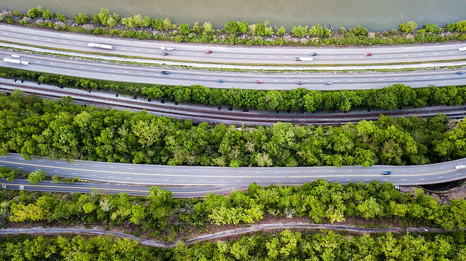 highways between forest, tree, road, united states, lookout mountain HD wallpaper