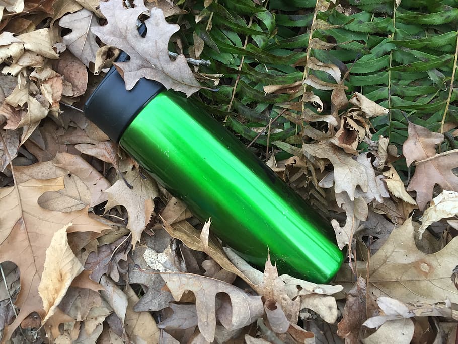 plant, leaf, ground, bottle, water bottle, fern, lamp, nature HD wallpaper