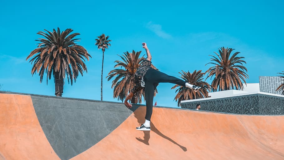 person on ramp, palm tree, plant, arecaceae, human, sports, skateboard, HD wallpaper