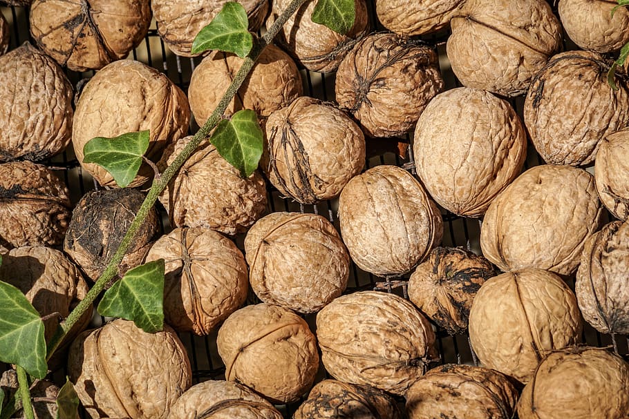 nuts, tree nuts, walnut, shell, nature, brown, autumn, tasty HD wallpaper