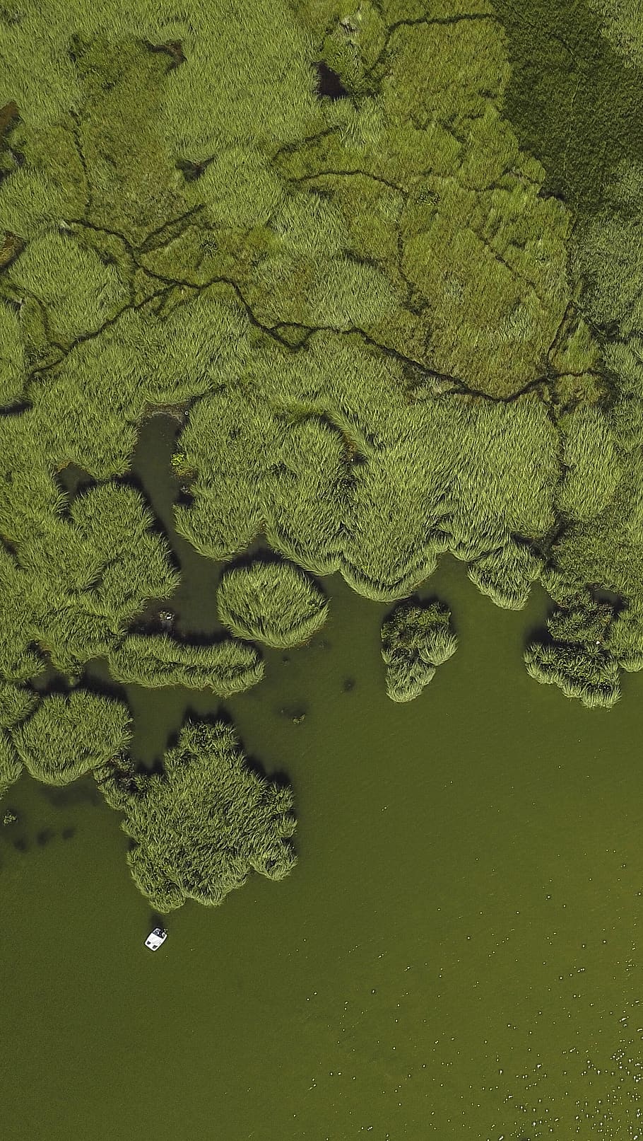 green island, green color, water, nature, high angle view, no people HD wallpaper