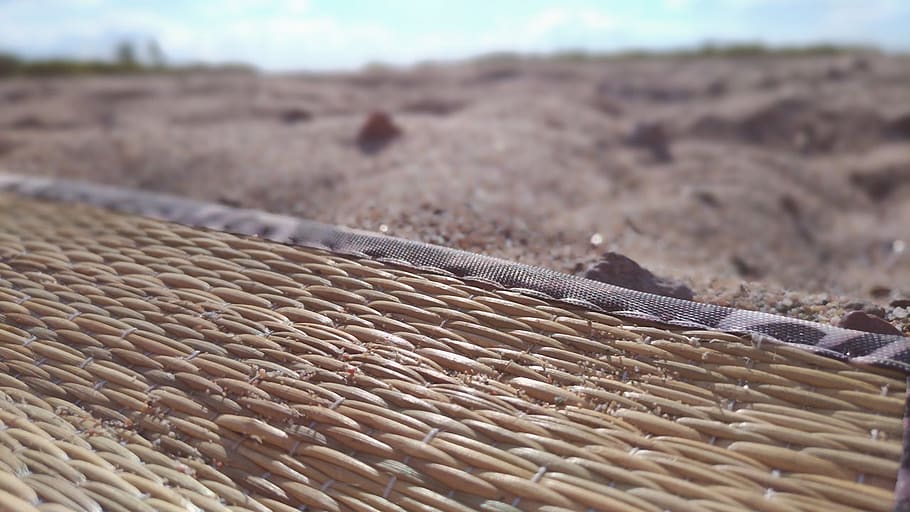 nature, sea, pattern, sand, dry, backgrounds, outdoors, beach HD wallpaper