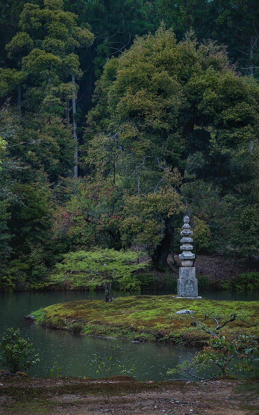 japan, kyoto, green, forests, lake, tower, trees, water, plant