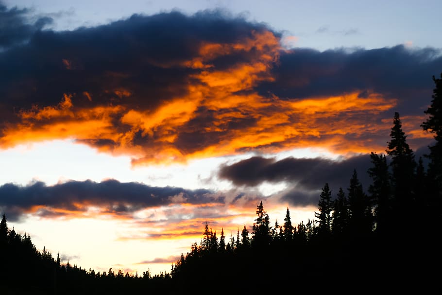 trees, forest, canada, sunset, clouds, yukon territory, sky HD wallpaper
