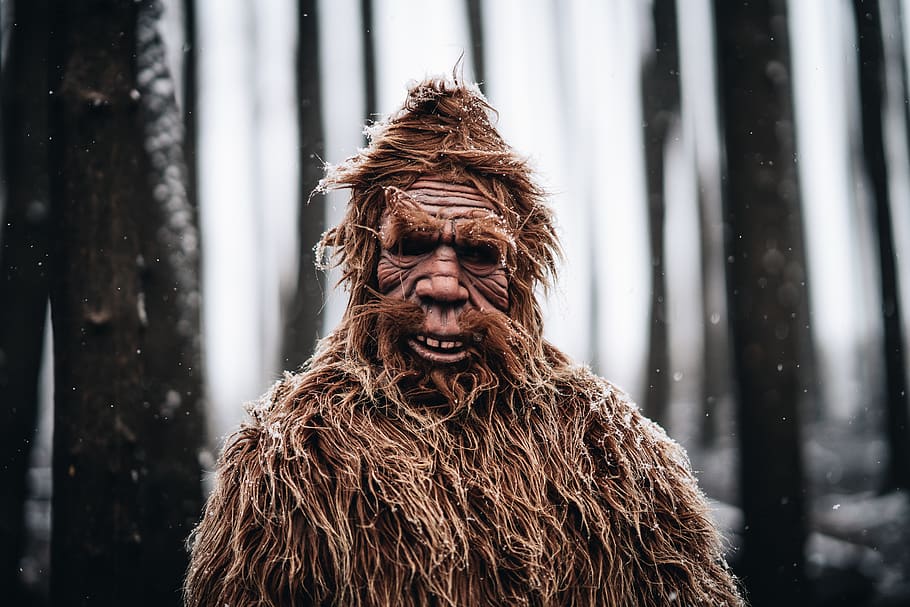 primate at the forest, human, face, person, outdoors, nature HD wallpaper