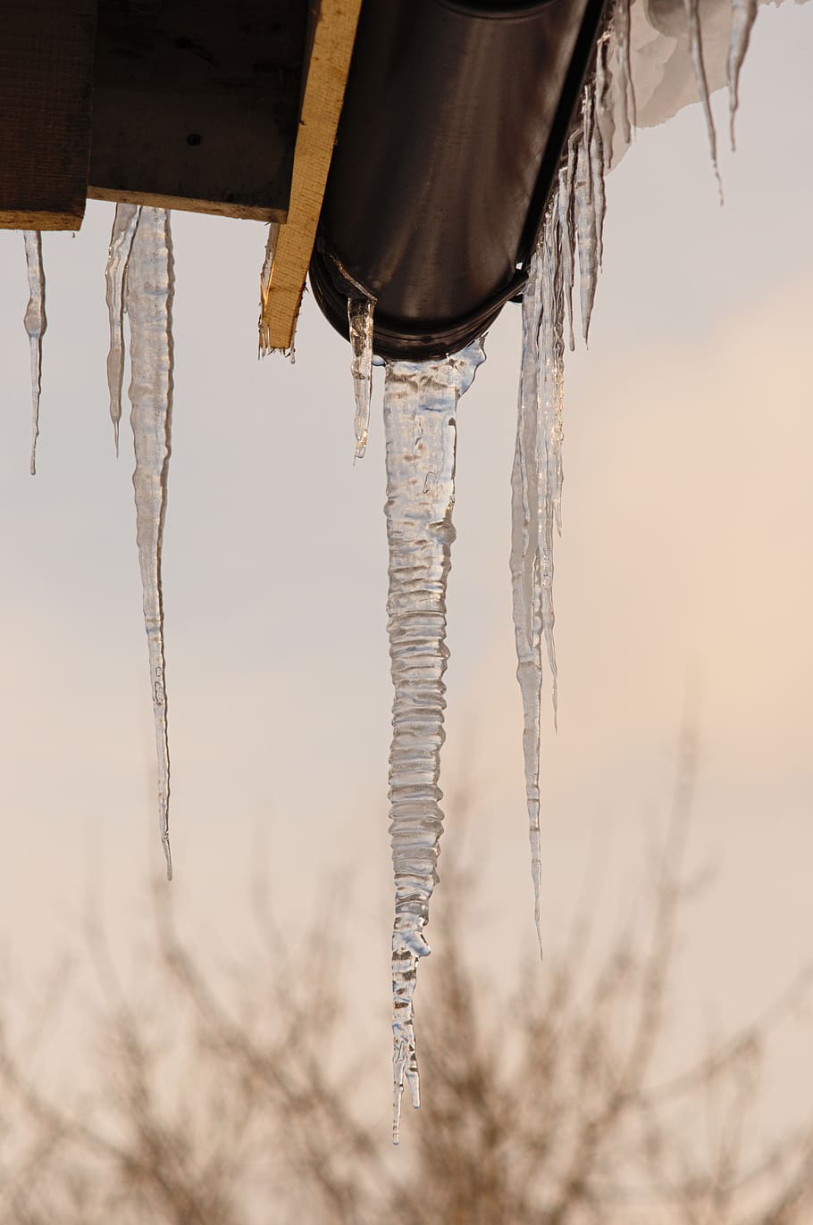 winter, icicle, frost, nature, no people, ice, hanging, cold temperature HD wallpaper