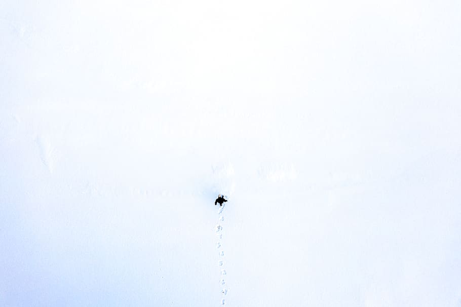 sky, no people, day, low angle view, motion, nature, flying HD wallpaper