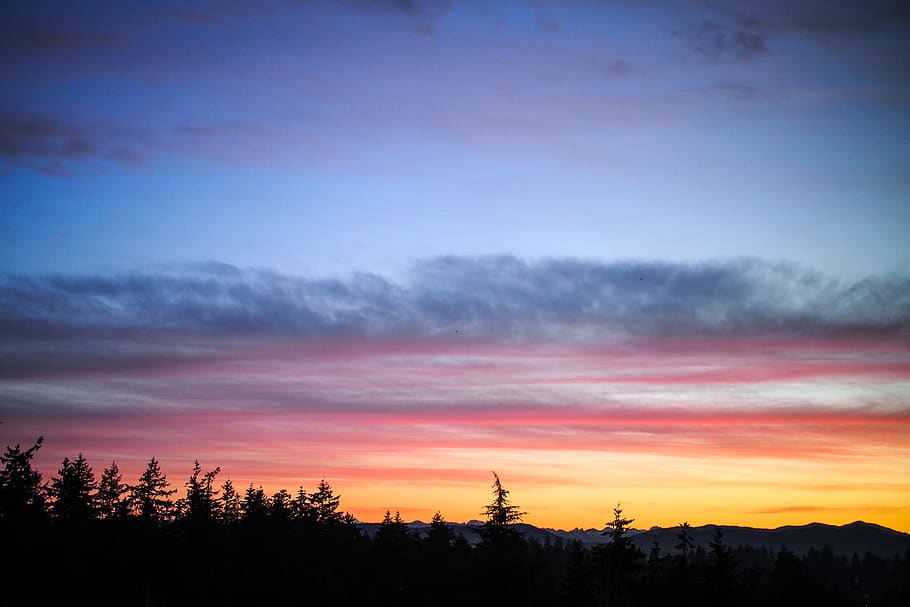 sun, forest, washington, seattle, horizon, cloud, outside, outdoor HD wallpaper