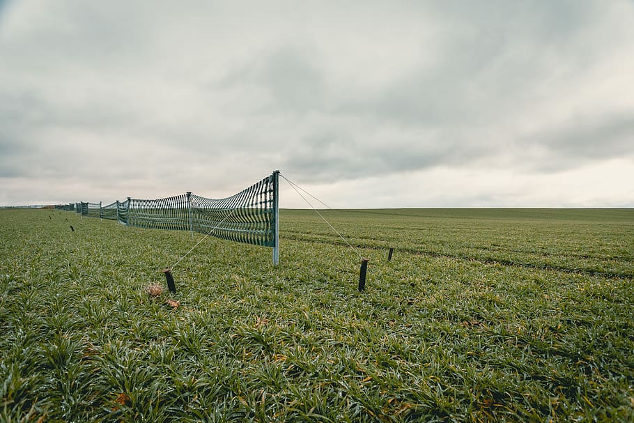 fence, snow, winter, green, field, plants, view, clouds, wide HD wallpaper