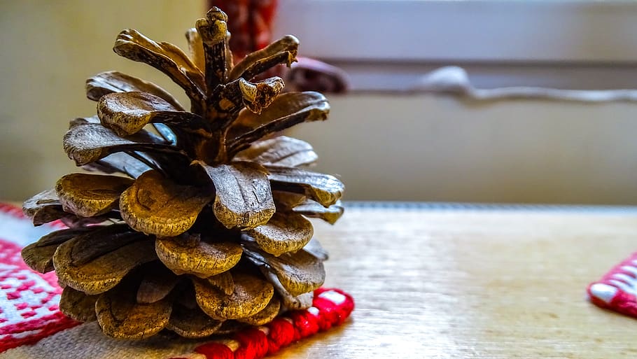 pine-cone, nature, close-up, macro, plant, ornament, indoors HD wallpaper