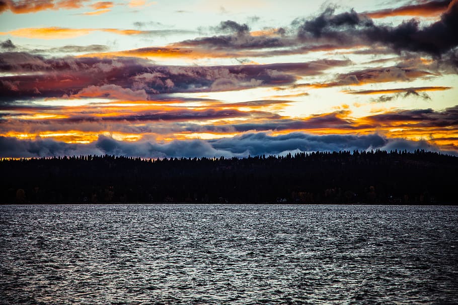 silhouette photo of island, tree, lake, fall, sunset, contrast HD wallpaper
