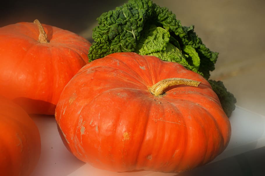 pumpkin, cabbage, vegetables, food, costs, harvest, variety HD wallpaper