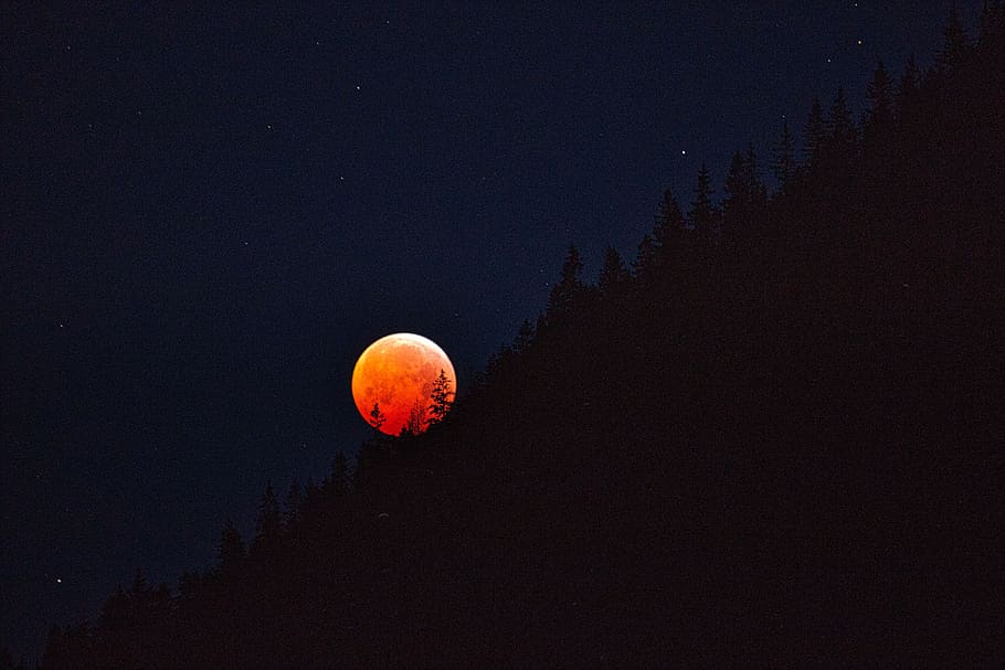 blood moon, lunar eclipse, 2019, night, dark, beauty, space HD wallpaper