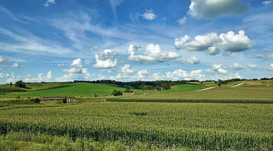 iowa, corn, cornfield, sky, clouds, summer, agriculture, farm, HD wallpaper