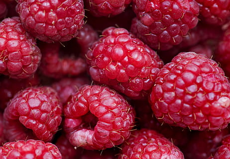 Raspberries, background, close-up, color, confection, delicious HD wallpaper