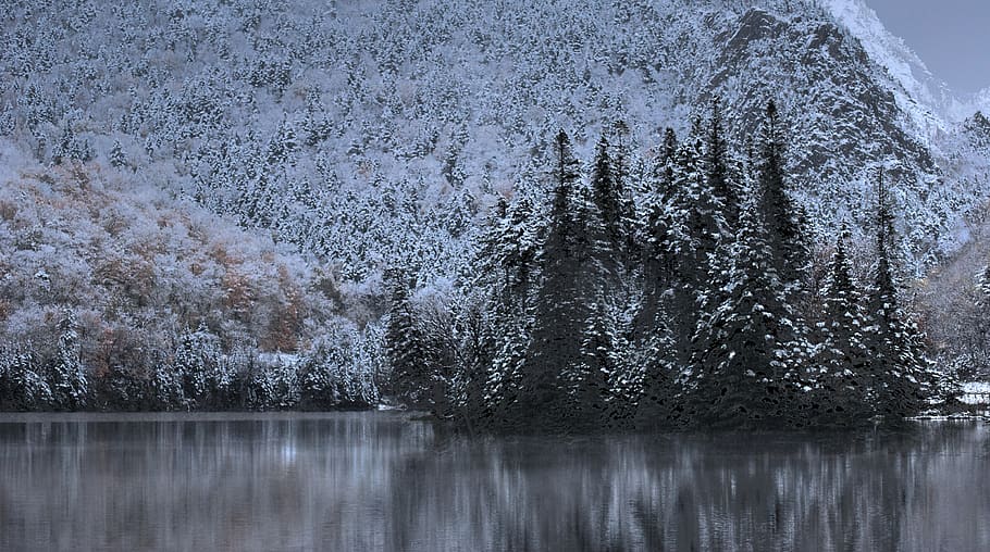 snow, mountain, water, tree, scenics - nature, beauty in nature HD wallpaper