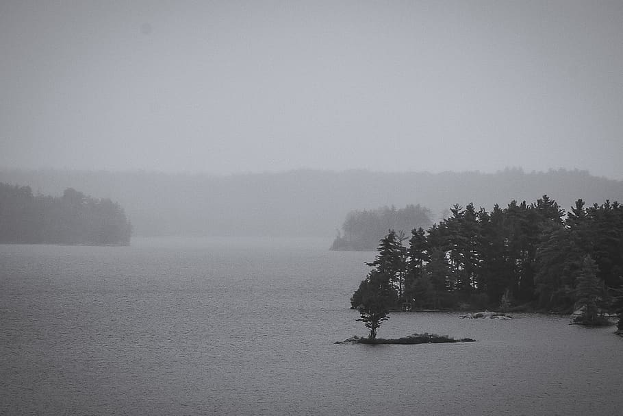 mist, fog, trees, clouds, plant, water, tranquility, nature HD wallpaper