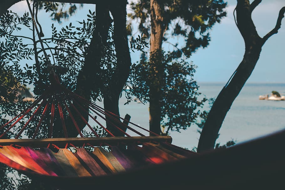 hammock hanged on tree, plant, nature, sky, tree trunk, branch HD wallpaper