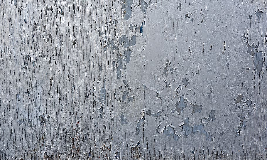 wall, concrete, texture, animal, bird, rug, outdoors, nature HD wallpaper